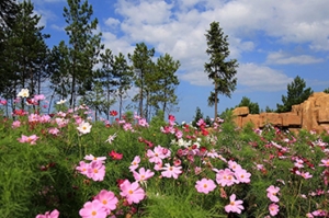 台湾苏马荡