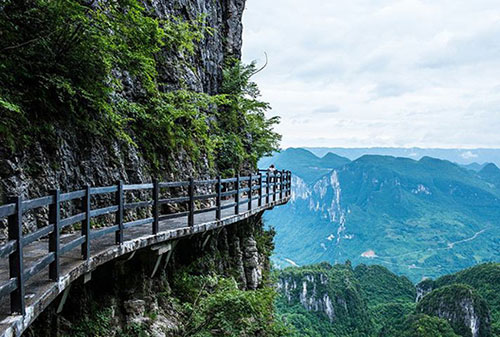 湖北候鸟旅游开发有限公司