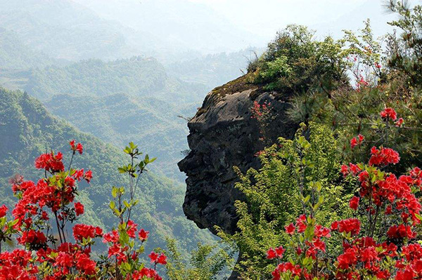 湖北候鸟旅游开发有限公司